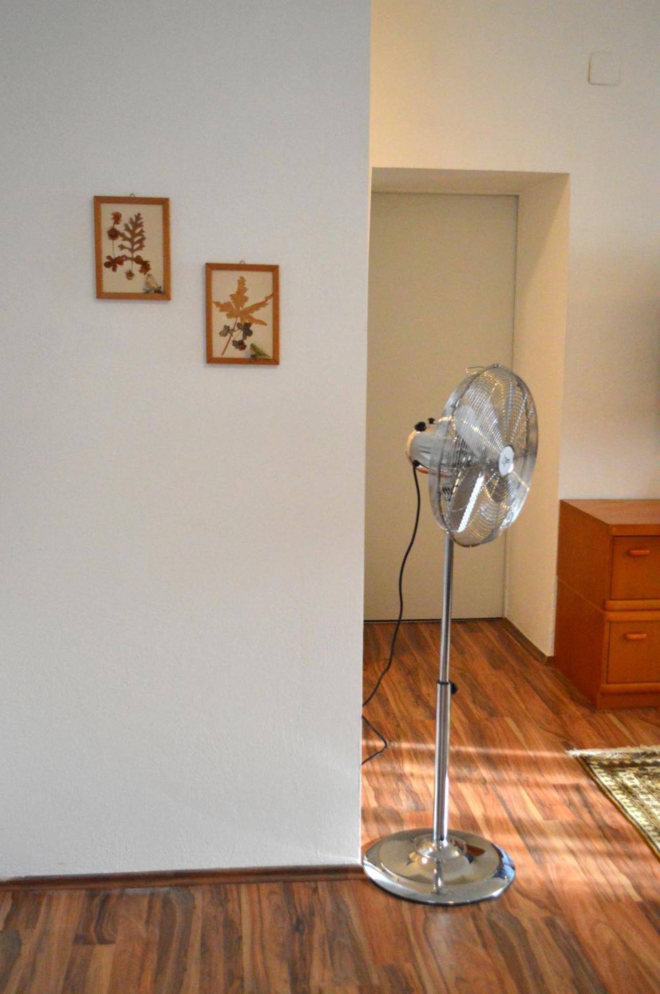 Gemuetliche Ferienwohnung - Prein An Der Rax Exteriör bild